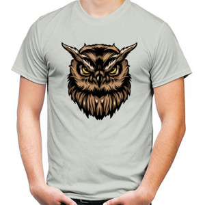 Kaos Owl is Awesome