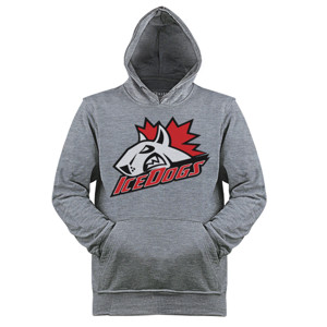 Jaket Hoodie Distro Ice dogs