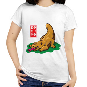 Kaos Komodo