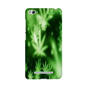 bang bgird Casing HP