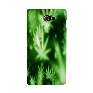 bang bgird Casing HP