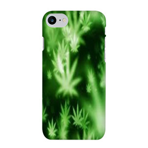 bang bgird Casing HP