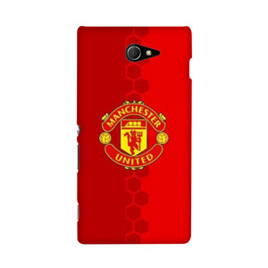 THE RED DEVIL Casing HP