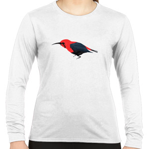 Kaos Birdz Series #5