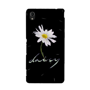 Daisy Casing HP