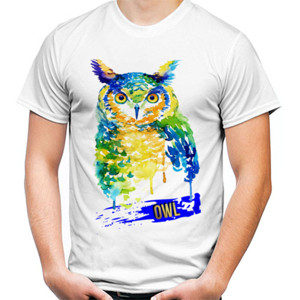 Kaos The Owl - Painting