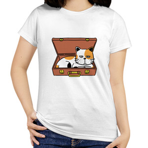Kaos Cat in Suitcase