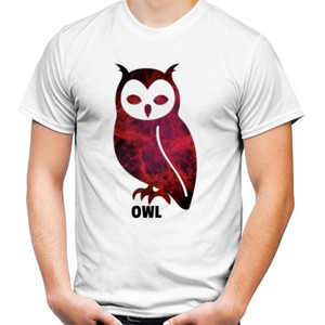 Kaos Owl