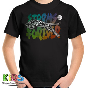 Kaos STORMS DONT LAST FOREVER 2