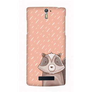 Mr. Foxy Casing HP