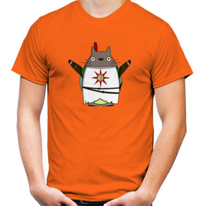 Kaos Praise the sun totoro studhio ghibli dark souls