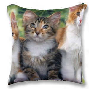 Bantal BANTAL SOFA MOTIF TIGA KUCING LUCU