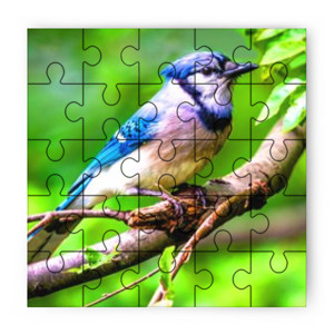 Puzzle Burung