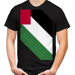 Kaos palestine fixed price