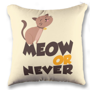 Bantal bantal meow or never