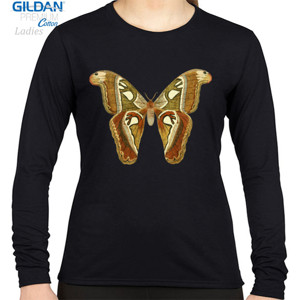 Kaos Butterfly