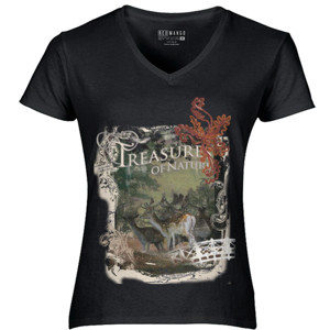 Kaos Treasure of Nature