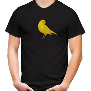 Kaos Kaos burung kenari