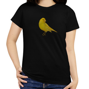 Kaos Kaos burung kenari
