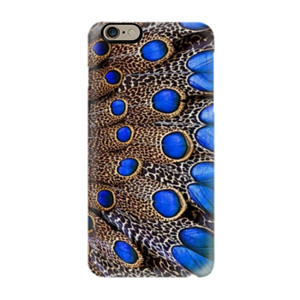 Diamond Peacock Casing HP