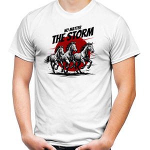 Kaos Ride Through The Storm