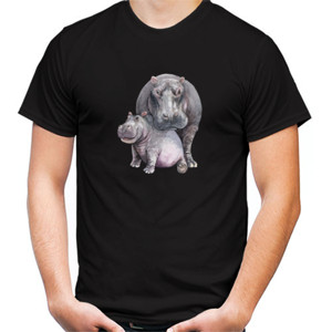 Kaos hippopotamus