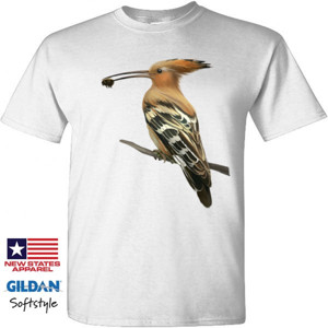 Kaos Bird Artworks 3