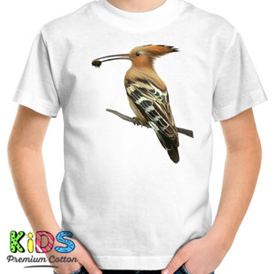 Kaos Bird Artworks 3