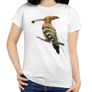 Kaos Bird Artworks 3