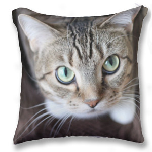 Bantal full print