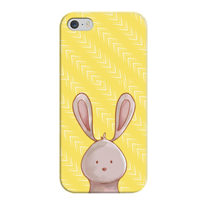 Mr. Rabbit Casing HP