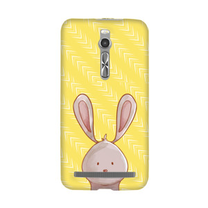 Mr. Rabbit Casing HP