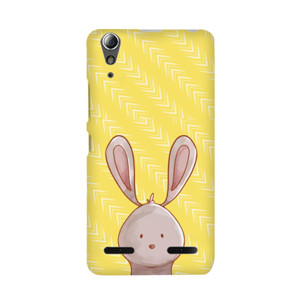 Mr. Rabbit Casing HP