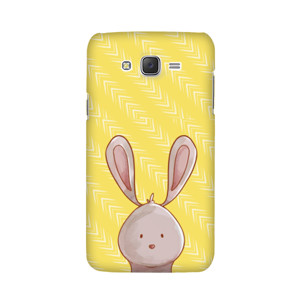 Mr. Rabbit Casing HP