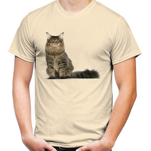 Kaos Maineecoon