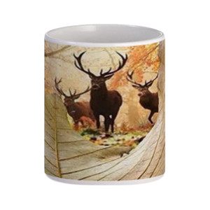 Mug Photogrphy View Rusa