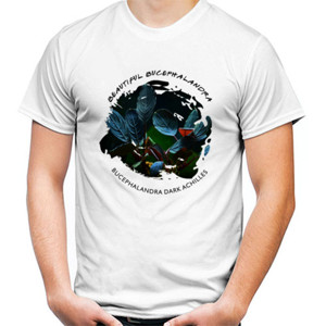 Kaos Beautiful Bucephalandra