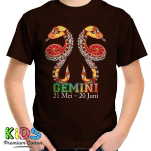 Kaos zodiak - gemini