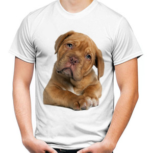 Kaos Anjing