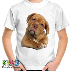 Kaos Anjing