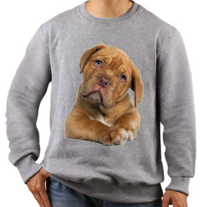Jaket Sweater Anjing