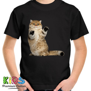 Kaos Cat Moon