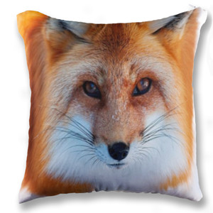 Bantal Bantal Sofa Doogie