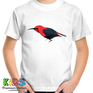 Kaos Birdz Series #5