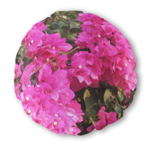 Bantal Bulat Bougenville 