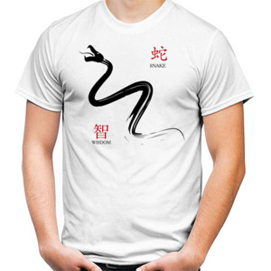 Kaos Snake And Wisdom