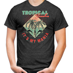 Kaos Tropical Beach