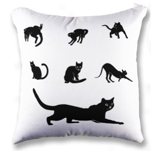Bantal cat