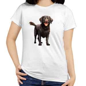 Kaos Kaos Gambar Anjing 316