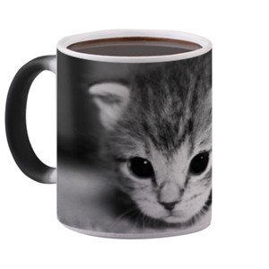 Mug Bunglon kitten in black & white